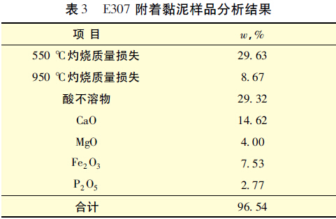 表3 E307 附著(zhù)黏泥樣品分析結果